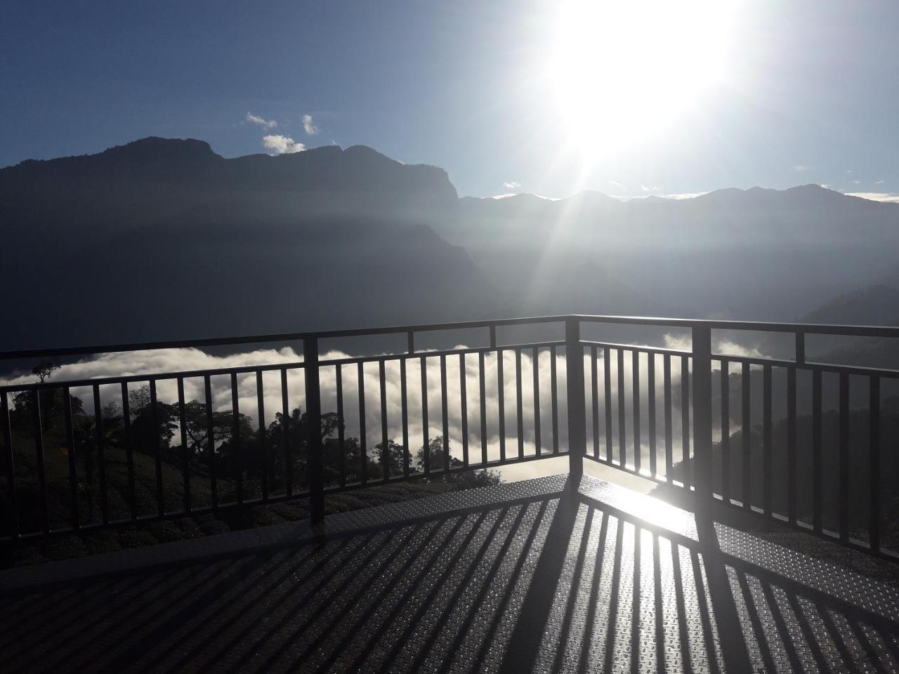 Alishan Shanyunhua B&B Homestay Meishan Exterior foto